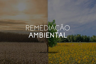 Remediação Ambiental